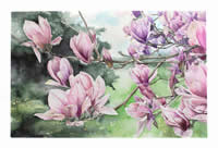 WeHa Magnolias by Lisa Pleskow Kassow